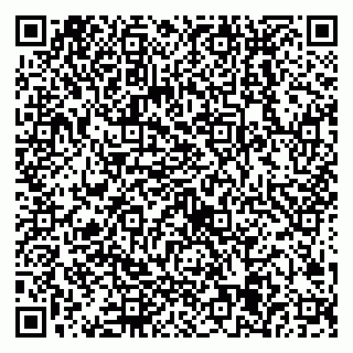 vCard 79538205290