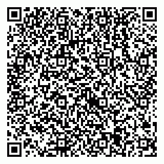 vCard 79538205291