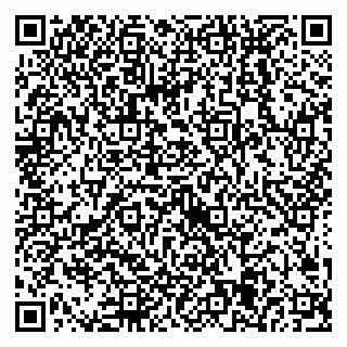 vCard 79538205292
