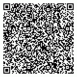 vCard 79538205293
