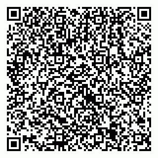 vCard 79538205294
