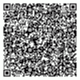 vCard 79538205295