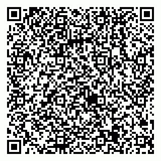 vCard 79538205296