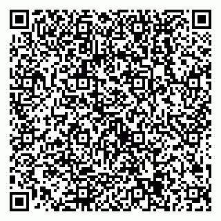 vCard 79538205297