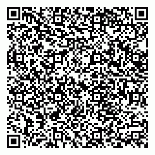 vCard 79538205298