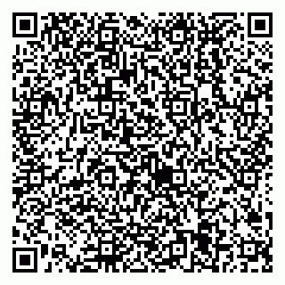 vCard 79538205299