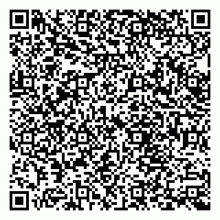 vCard 79538205300