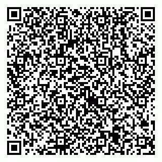 vCard 79538205301
