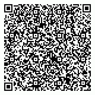 vCard 79538205302