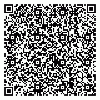 vCard 79538205303