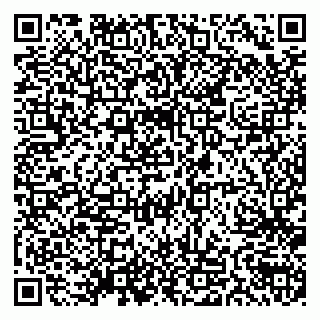 vCard 79538205304