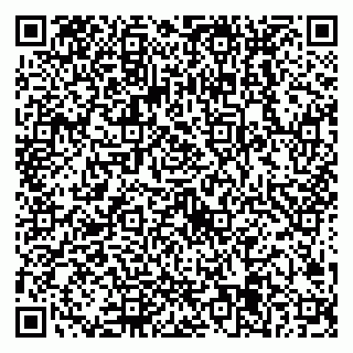 vCard 79538205305