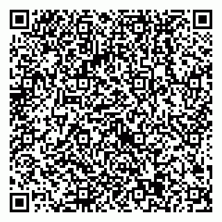 vCard 79538205306