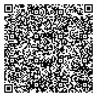 vCard 79538205307