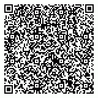 vCard 79538205308