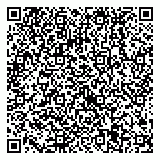 vCard 79538205309