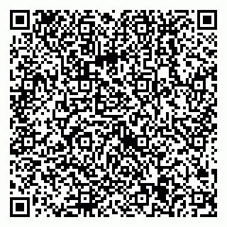 vCard 79538205310