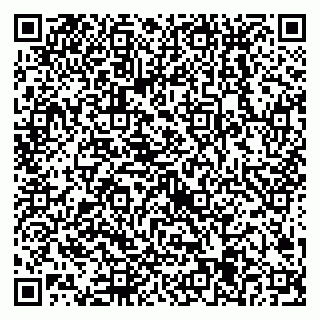 vCard 79538205311