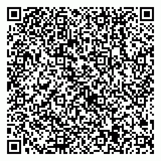 vCard 79538205312