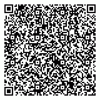 vCard 79538205313