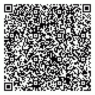 vCard 79538205314