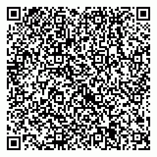 vCard 79538205315