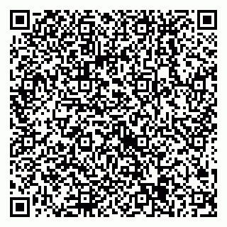 vCard 79538205317