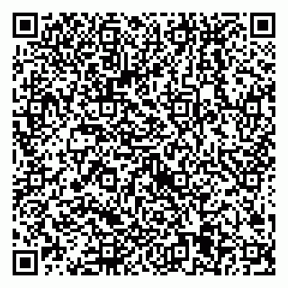 vCard 79538205318