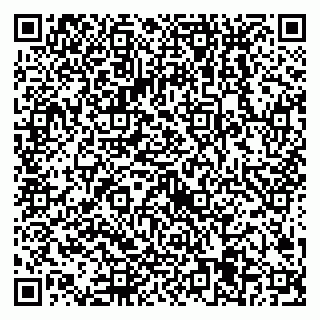 vCard 79538205319