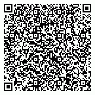 vCard 79538205320