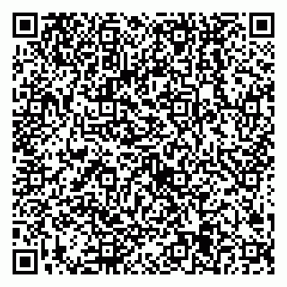 vCard 79538205321