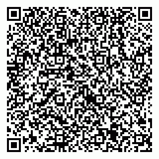 vCard 79538205322