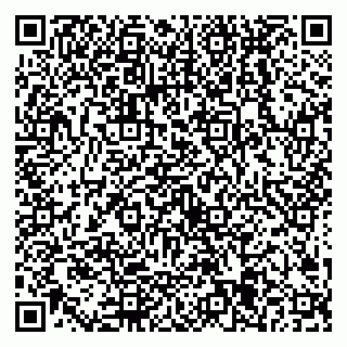vCard 79538205323