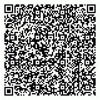 vCard 79538205324