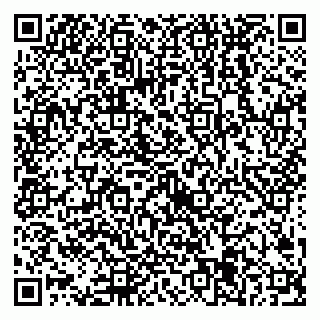 vCard 79538205325