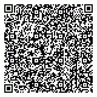 vCard 79538205326