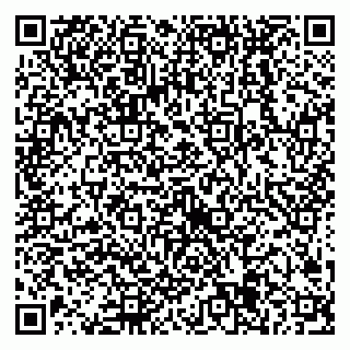 vCard 79538205327