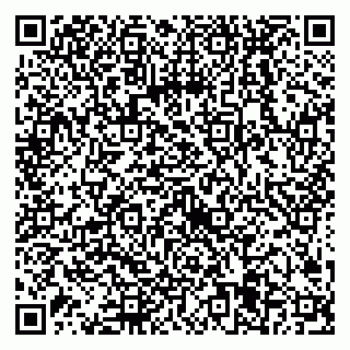 vCard 79538205329