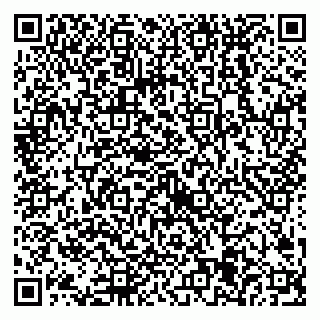 vCard 79538205330