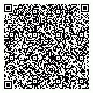 vCard 79538205331