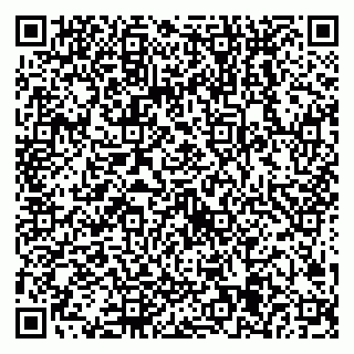 vCard 79538205332