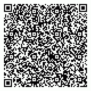 vCard 79538205333