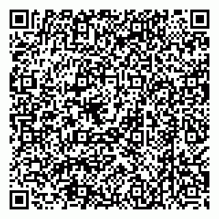 vCard 79538205334