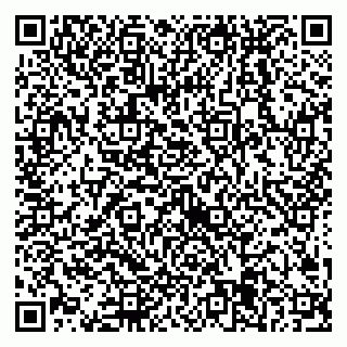 vCard 79538205335