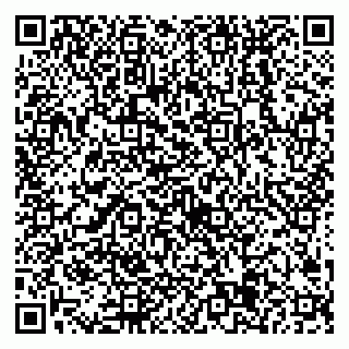 vCard 79538205336
