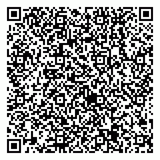 vCard 79538205337