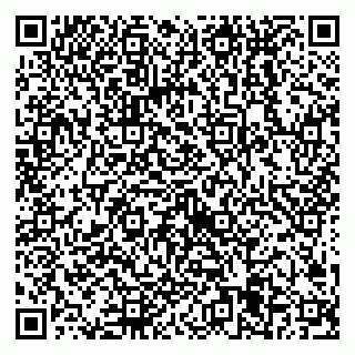 vCard 79538205339