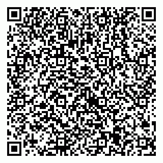 vCard 79538205340
