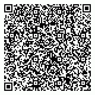 vCard 79538205341