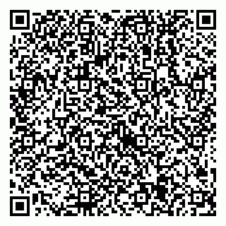vCard 79538205342